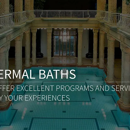 Apartament Basilica Royal | *